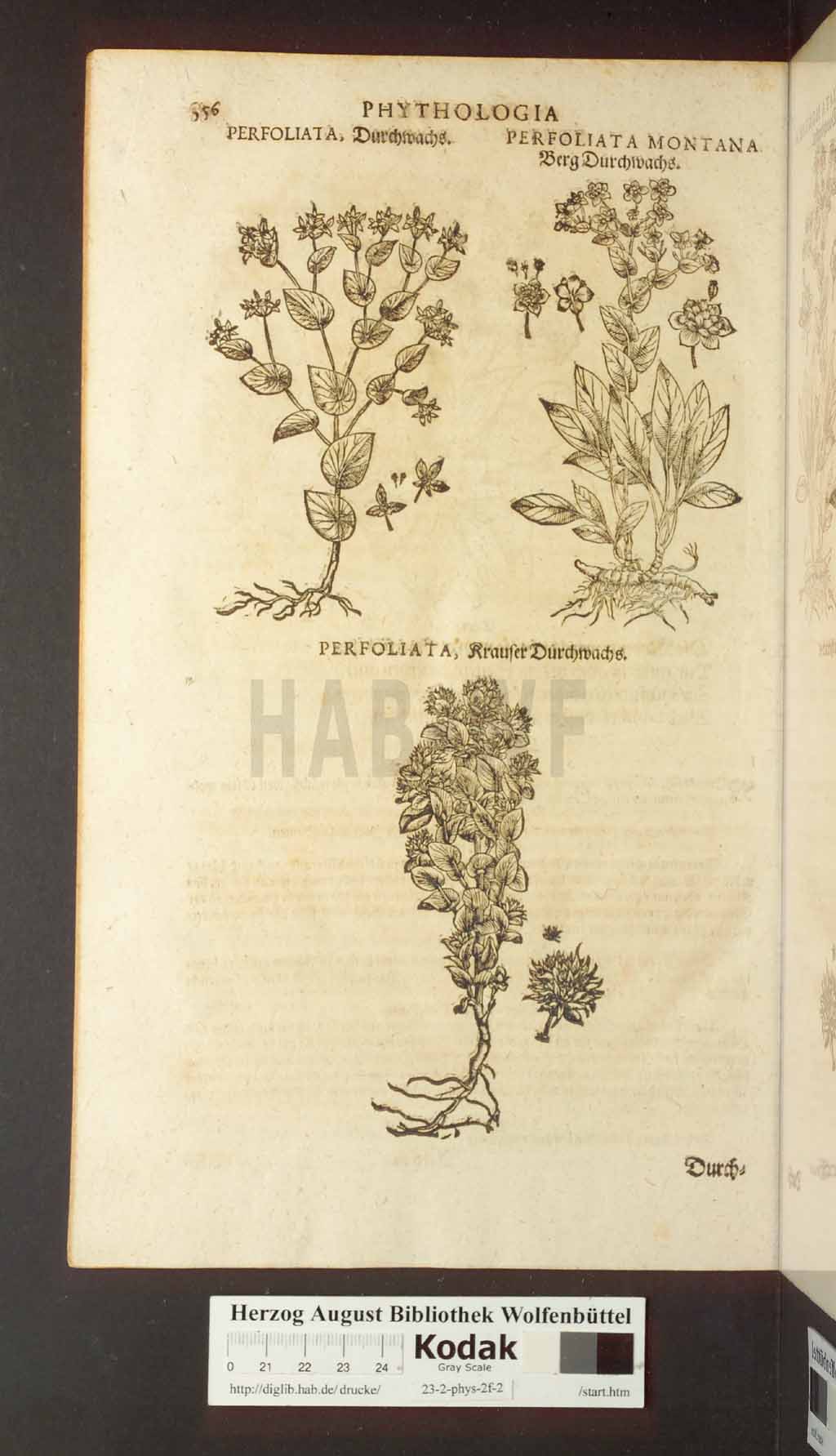 http://diglib.hab.de/drucke/23-2-phys-2f-2/00556.jpg