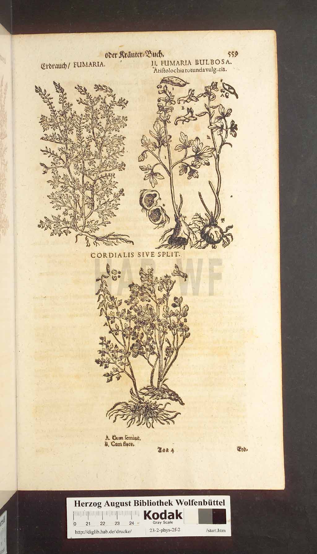 http://diglib.hab.de/drucke/23-2-phys-2f-2/00559.jpg