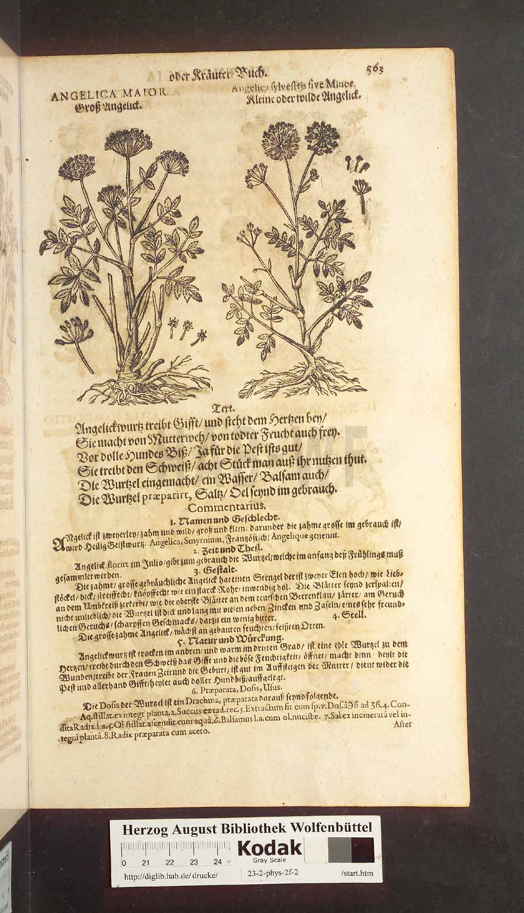 http://diglib.hab.de/drucke/23-2-phys-2f-2/00563.jpg