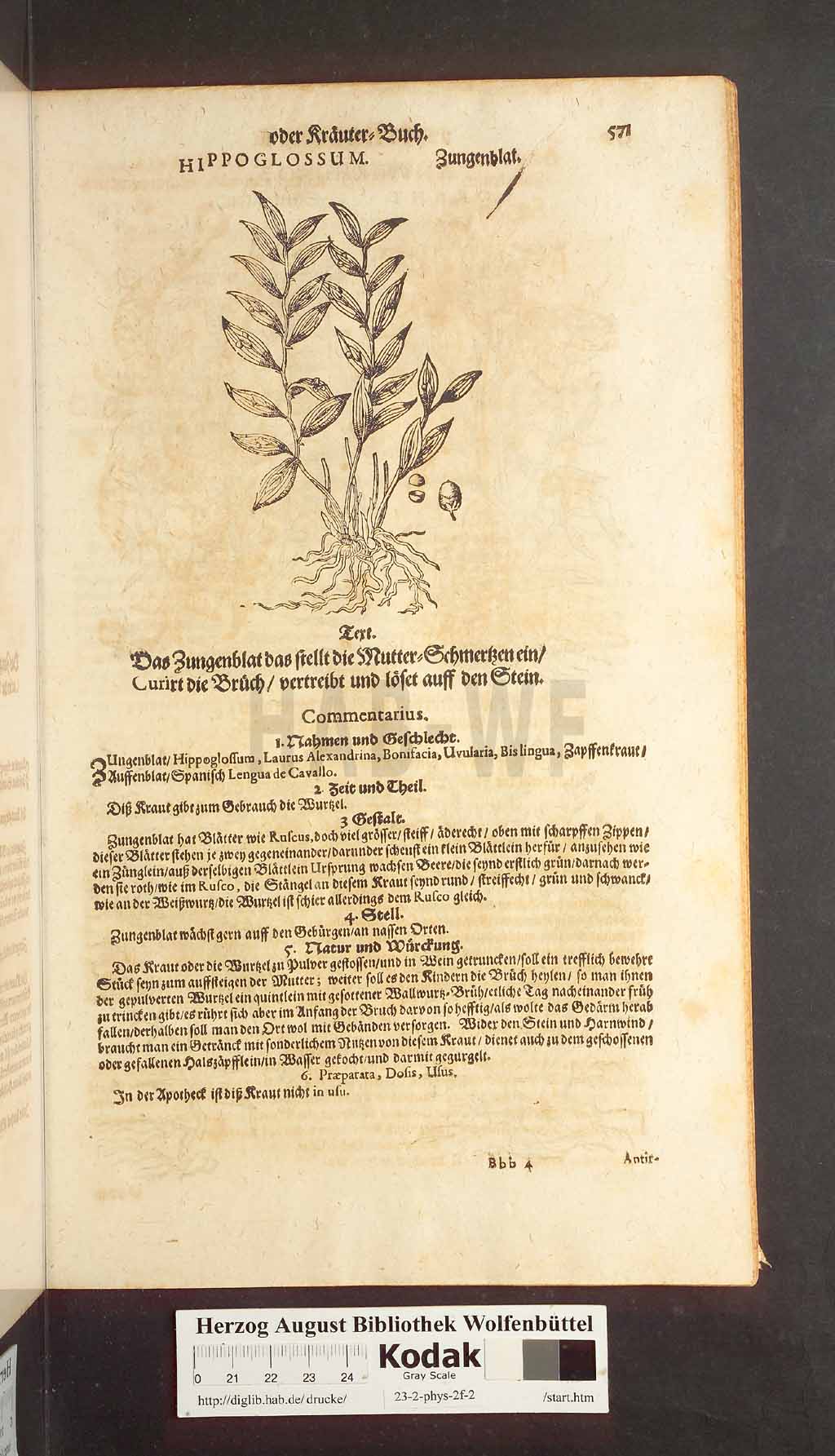 http://diglib.hab.de/drucke/23-2-phys-2f-2/00571.jpg