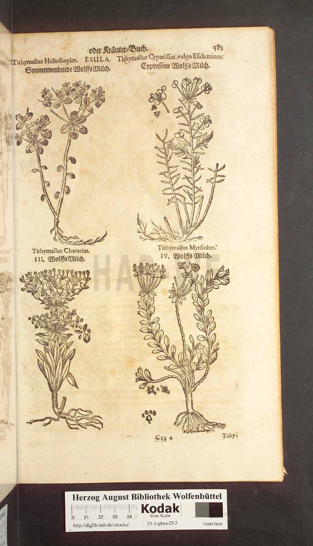 http://diglib.hab.de/drucke/23-2-phys-2f-2/00583.jpg