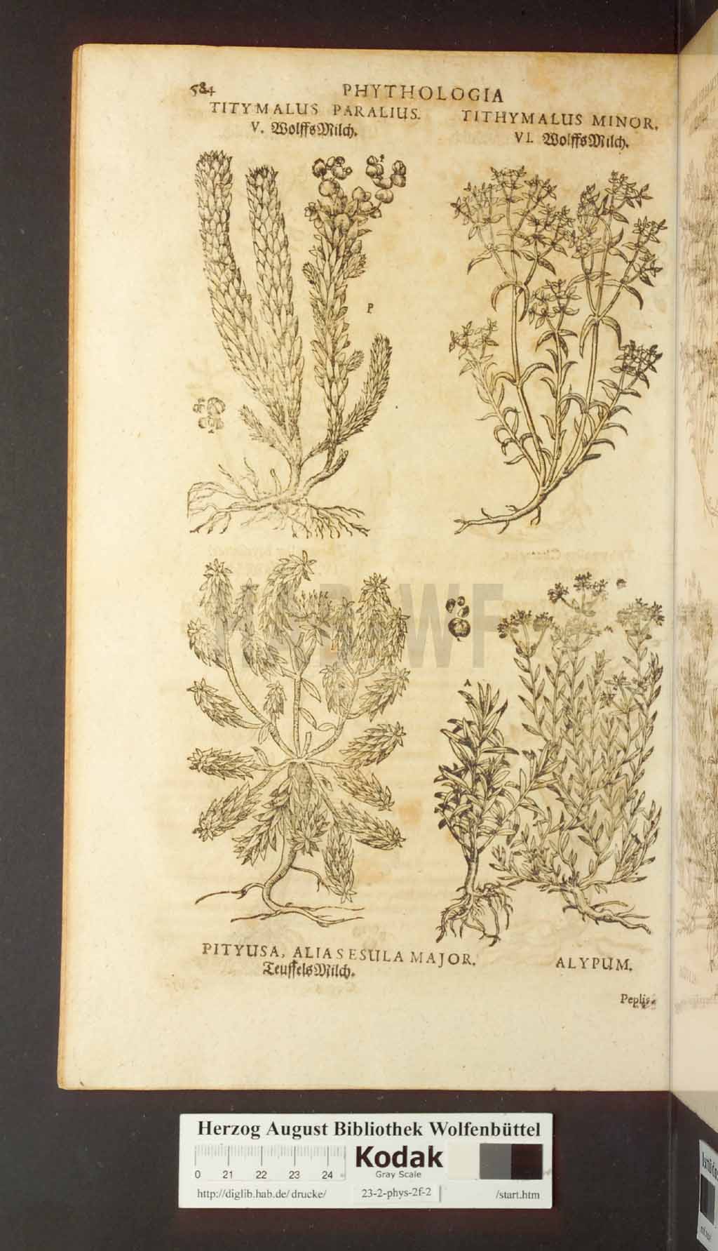 http://diglib.hab.de/drucke/23-2-phys-2f-2/00584.jpg
