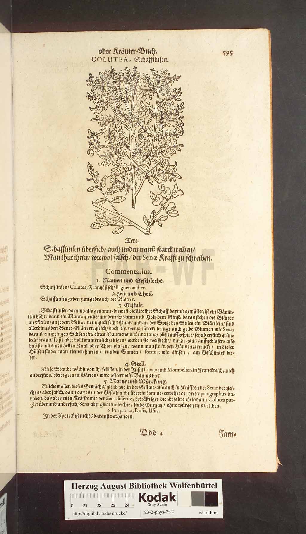 http://diglib.hab.de/drucke/23-2-phys-2f-2/00595.jpg