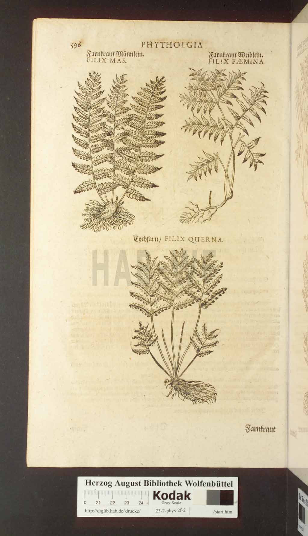 http://diglib.hab.de/drucke/23-2-phys-2f-2/00596.jpg