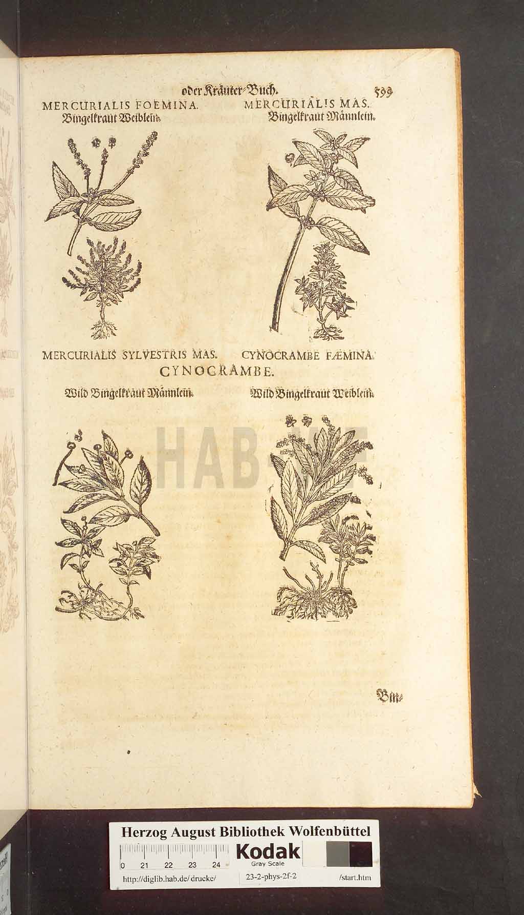 http://diglib.hab.de/drucke/23-2-phys-2f-2/00599.jpg