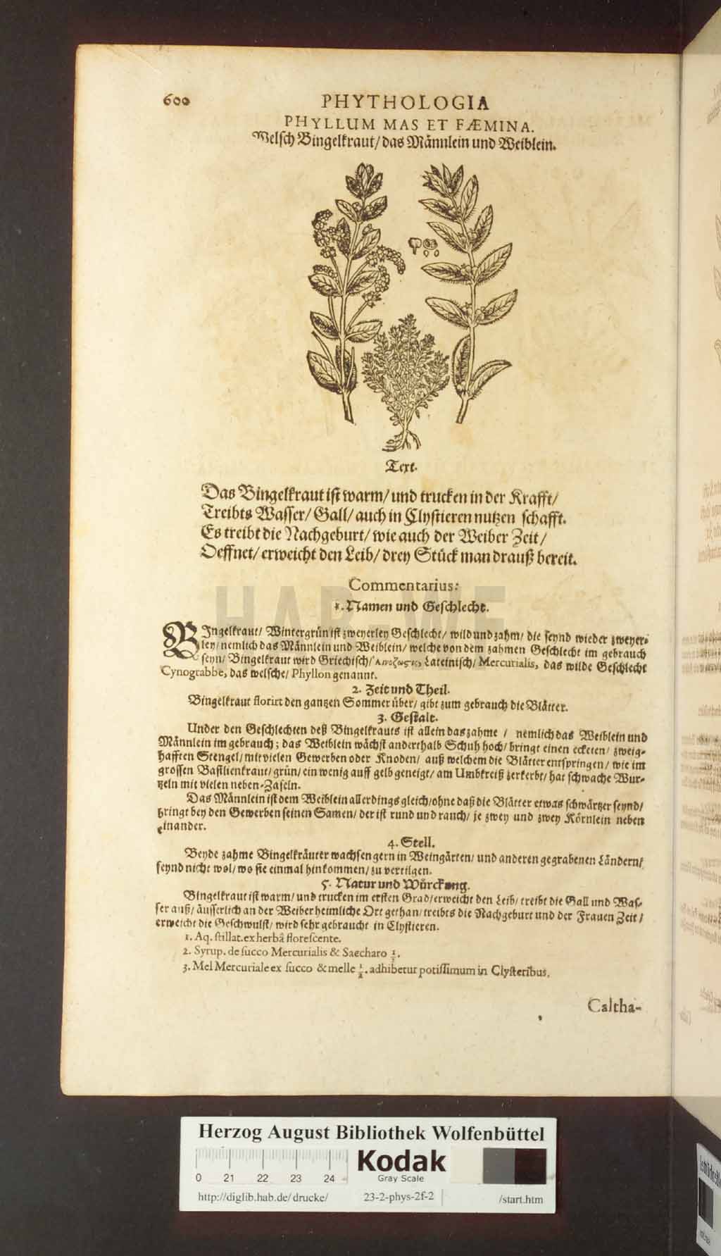 http://diglib.hab.de/drucke/23-2-phys-2f-2/00600.jpg