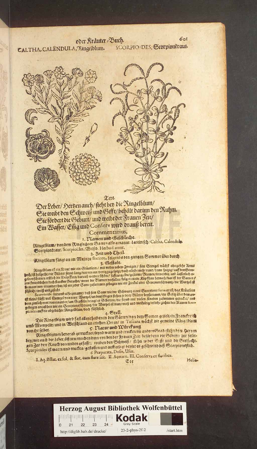http://diglib.hab.de/drucke/23-2-phys-2f-2/00601.jpg