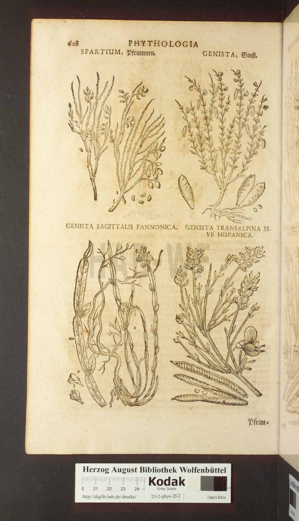 http://diglib.hab.de/drucke/23-2-phys-2f-2/00608.jpg