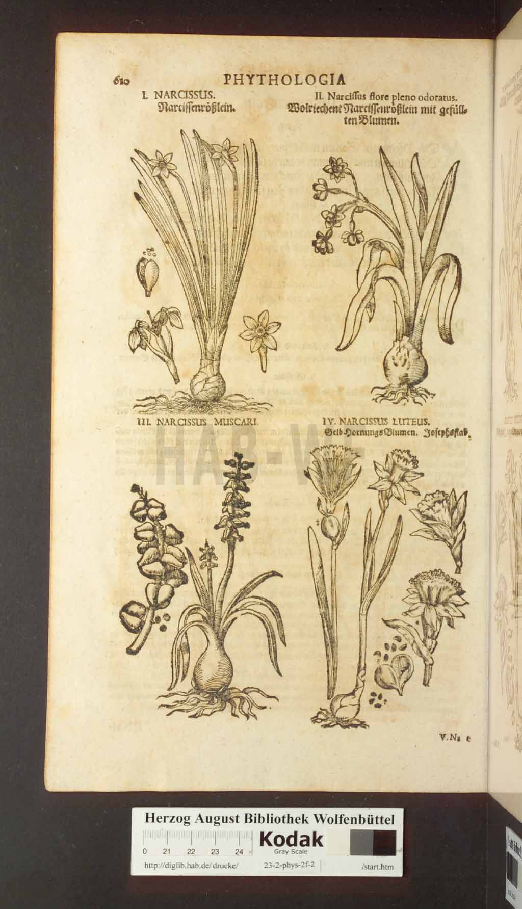 http://diglib.hab.de/drucke/23-2-phys-2f-2/00610.jpg