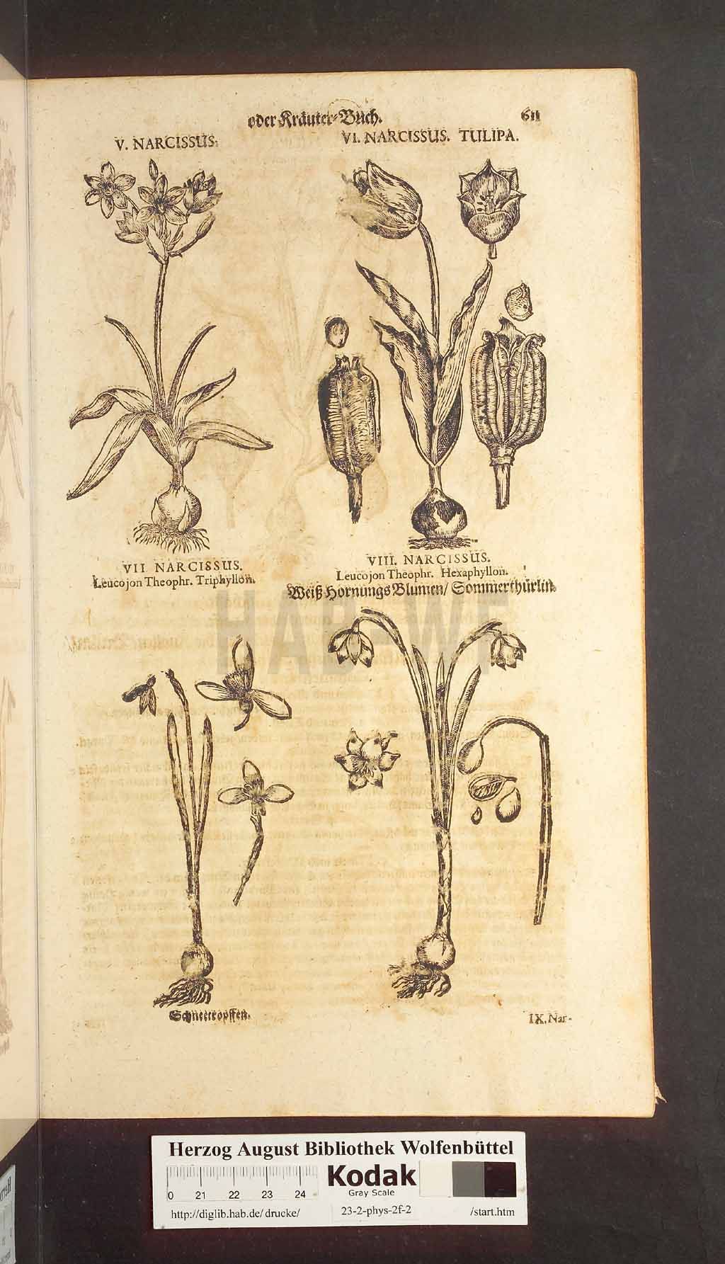 http://diglib.hab.de/drucke/23-2-phys-2f-2/00611.jpg