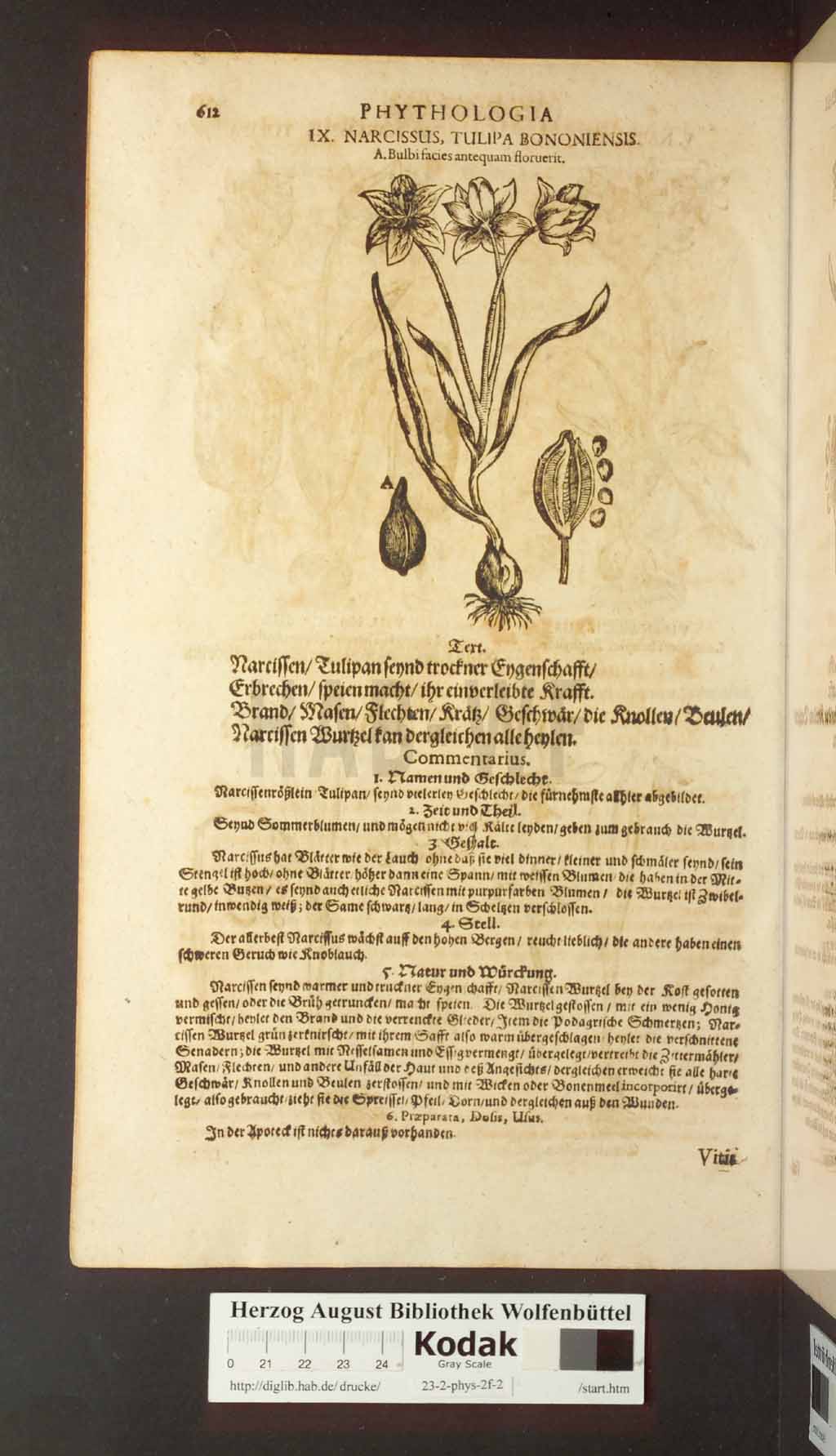 http://diglib.hab.de/drucke/23-2-phys-2f-2/00612.jpg