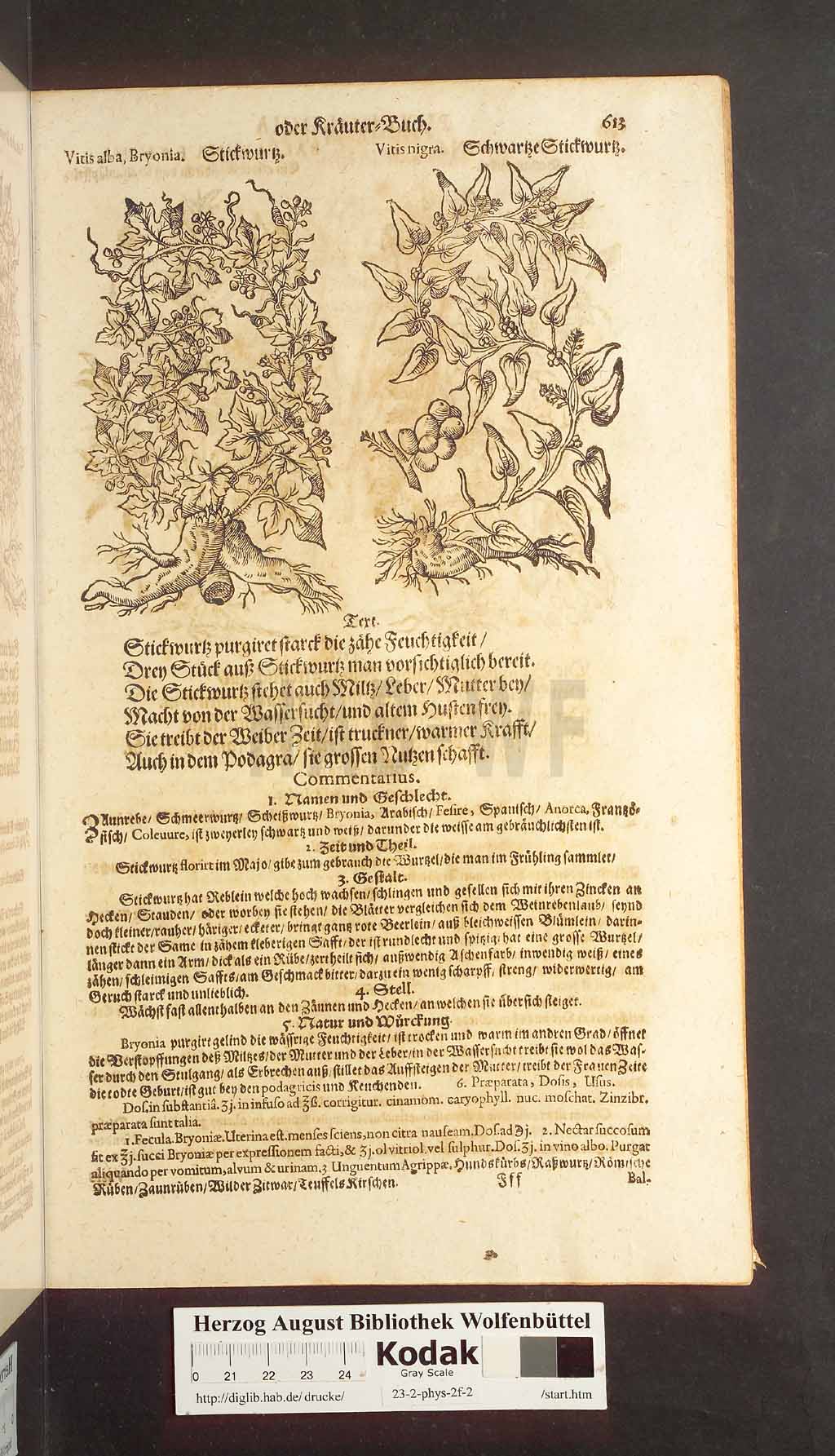 http://diglib.hab.de/drucke/23-2-phys-2f-2/00613.jpg