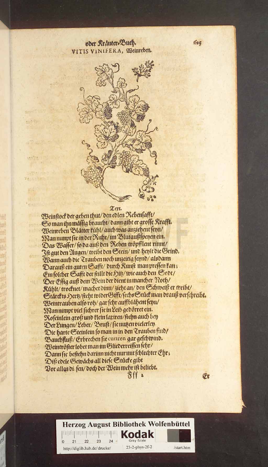 http://diglib.hab.de/drucke/23-2-phys-2f-2/00615.jpg