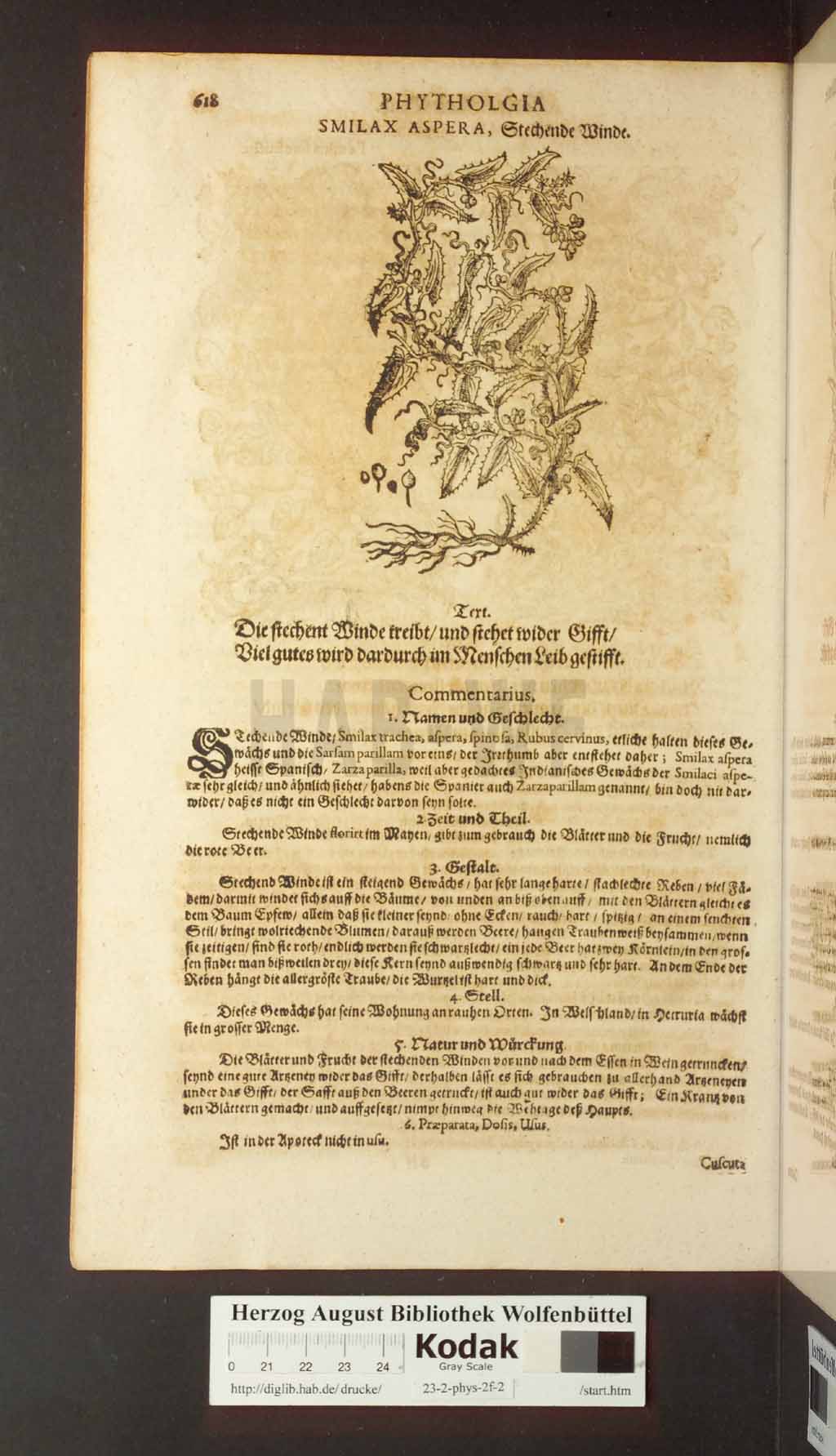 http://diglib.hab.de/drucke/23-2-phys-2f-2/00618.jpg