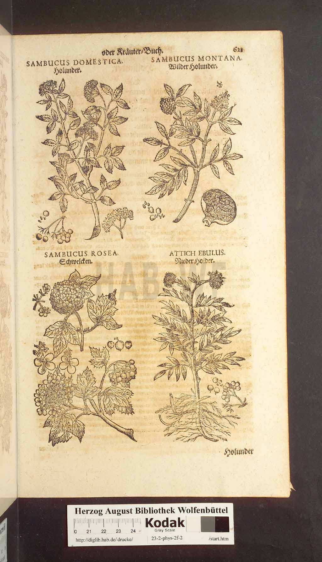 http://diglib.hab.de/drucke/23-2-phys-2f-2/00621.jpg