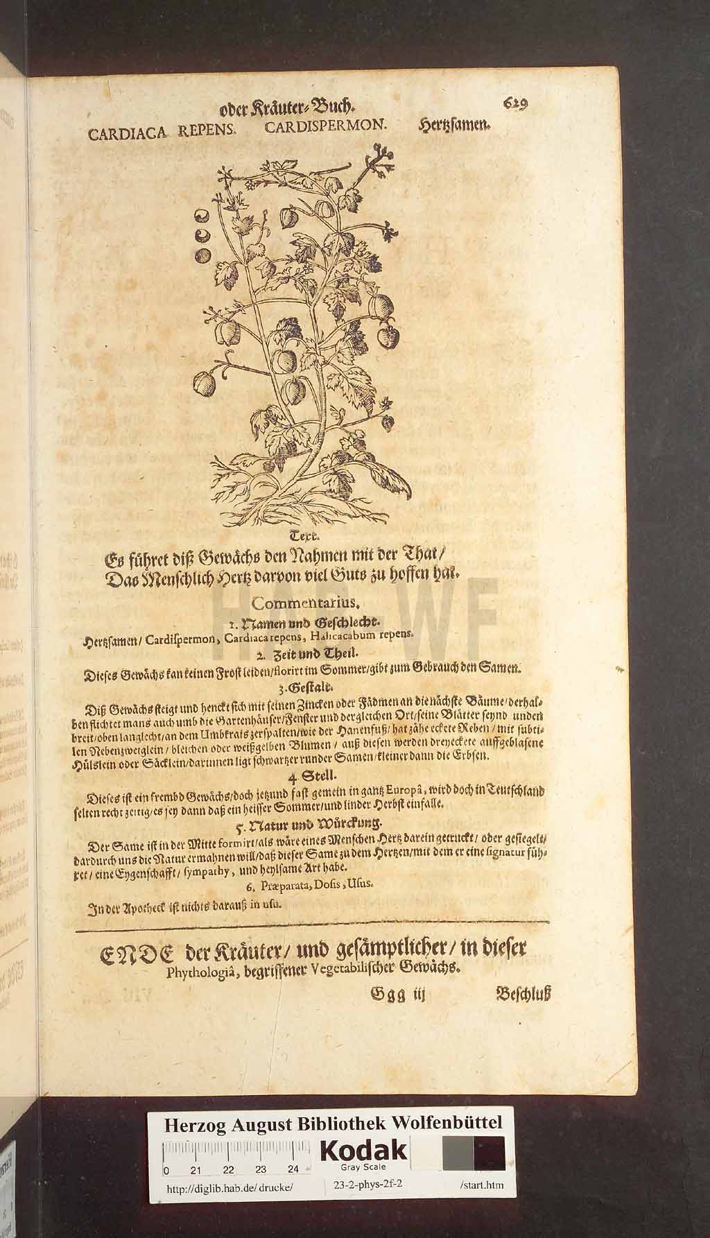 http://diglib.hab.de/drucke/23-2-phys-2f-2/00629.jpg