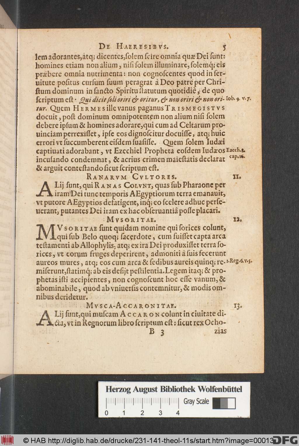 http://diglib.hab.de/drucke/231-141-theol-11s/00013.jpg