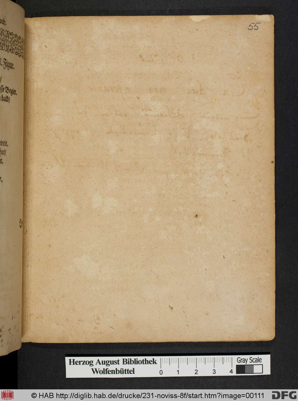 http://diglib.hab.de/drucke/231-noviss-8f/00111.jpg