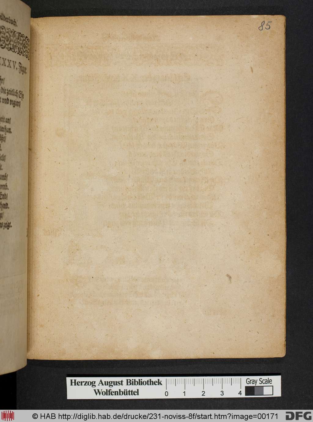 http://diglib.hab.de/drucke/231-noviss-8f/00171.jpg