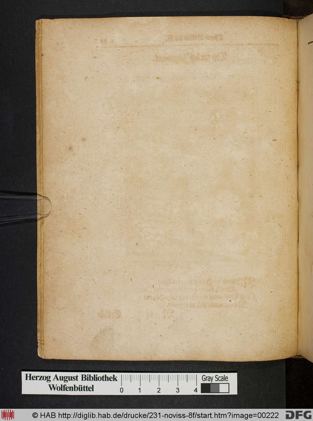 http://diglib.hab.de/drucke/231-noviss-8f/00222.jpg