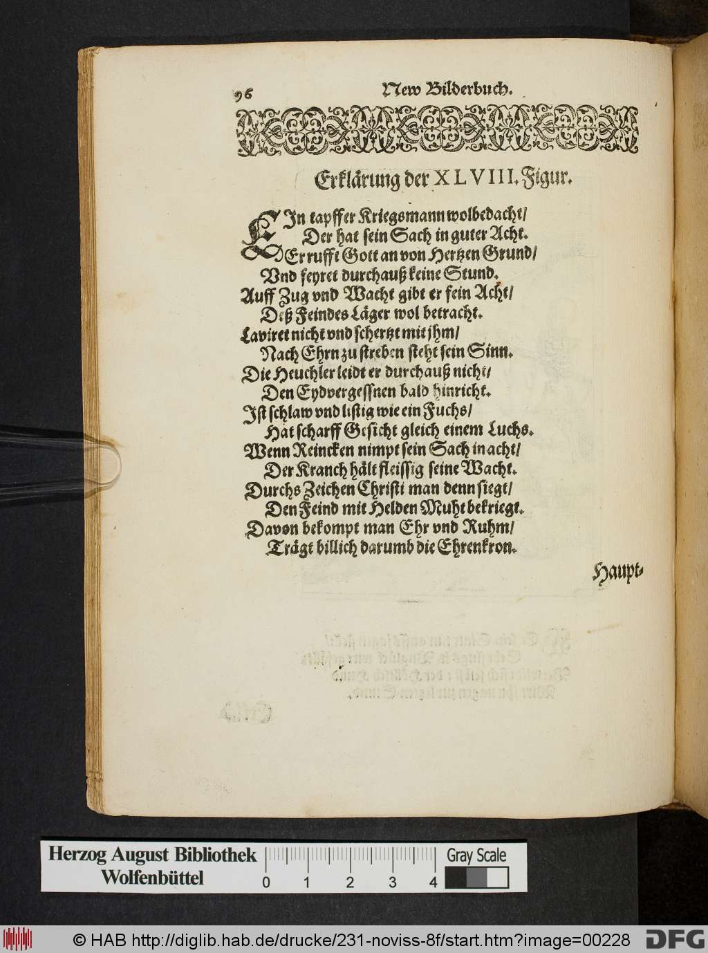 http://diglib.hab.de/drucke/231-noviss-8f/00228.jpg