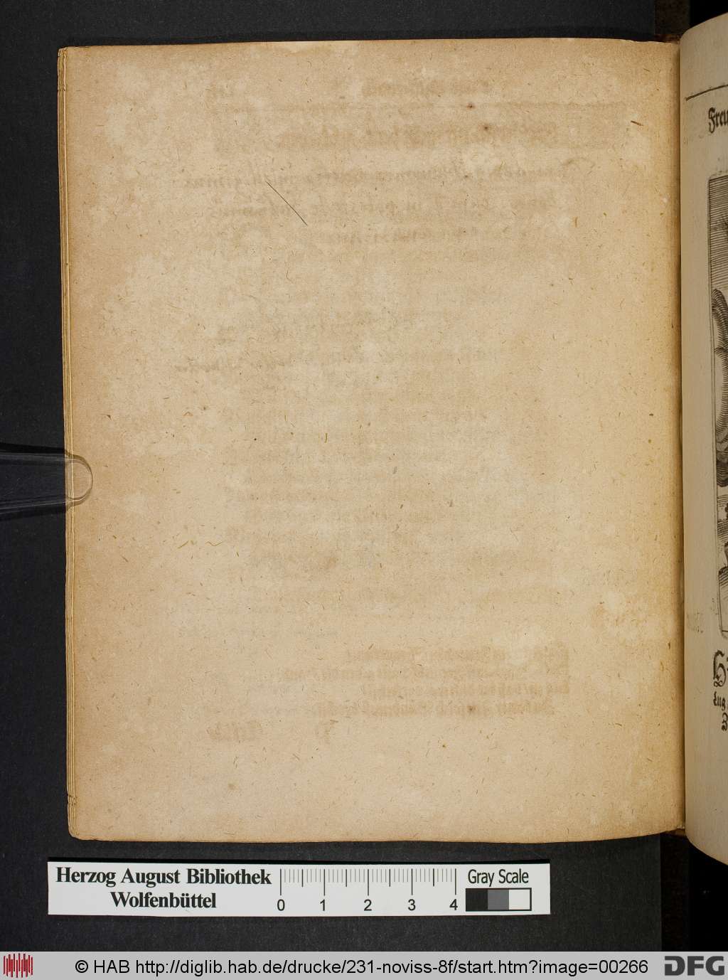 http://diglib.hab.de/drucke/231-noviss-8f/00266.jpg