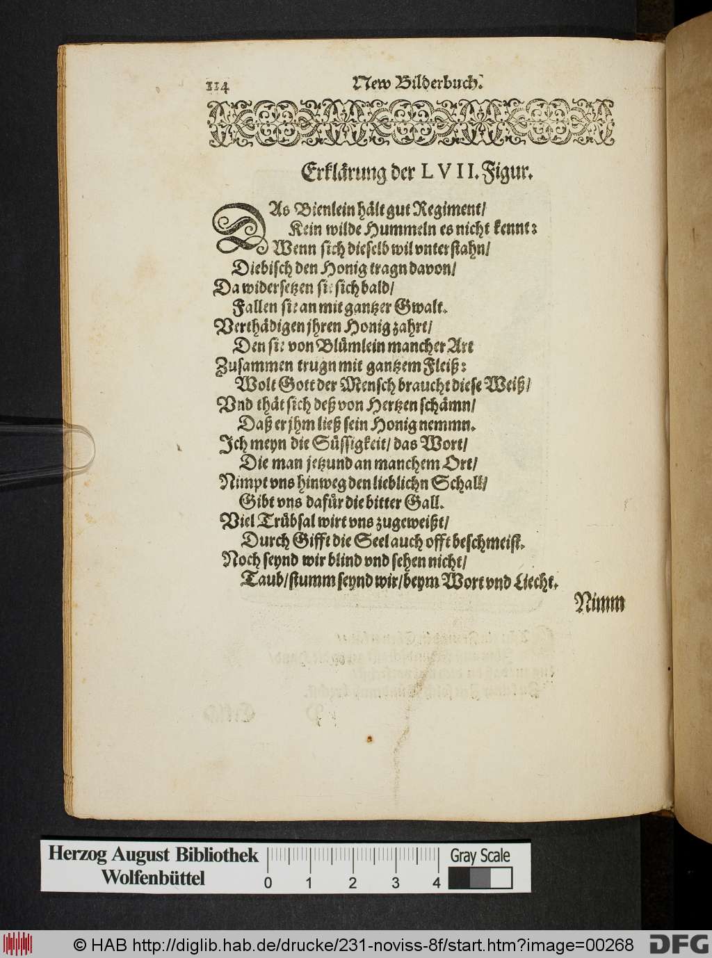 http://diglib.hab.de/drucke/231-noviss-8f/00268.jpg