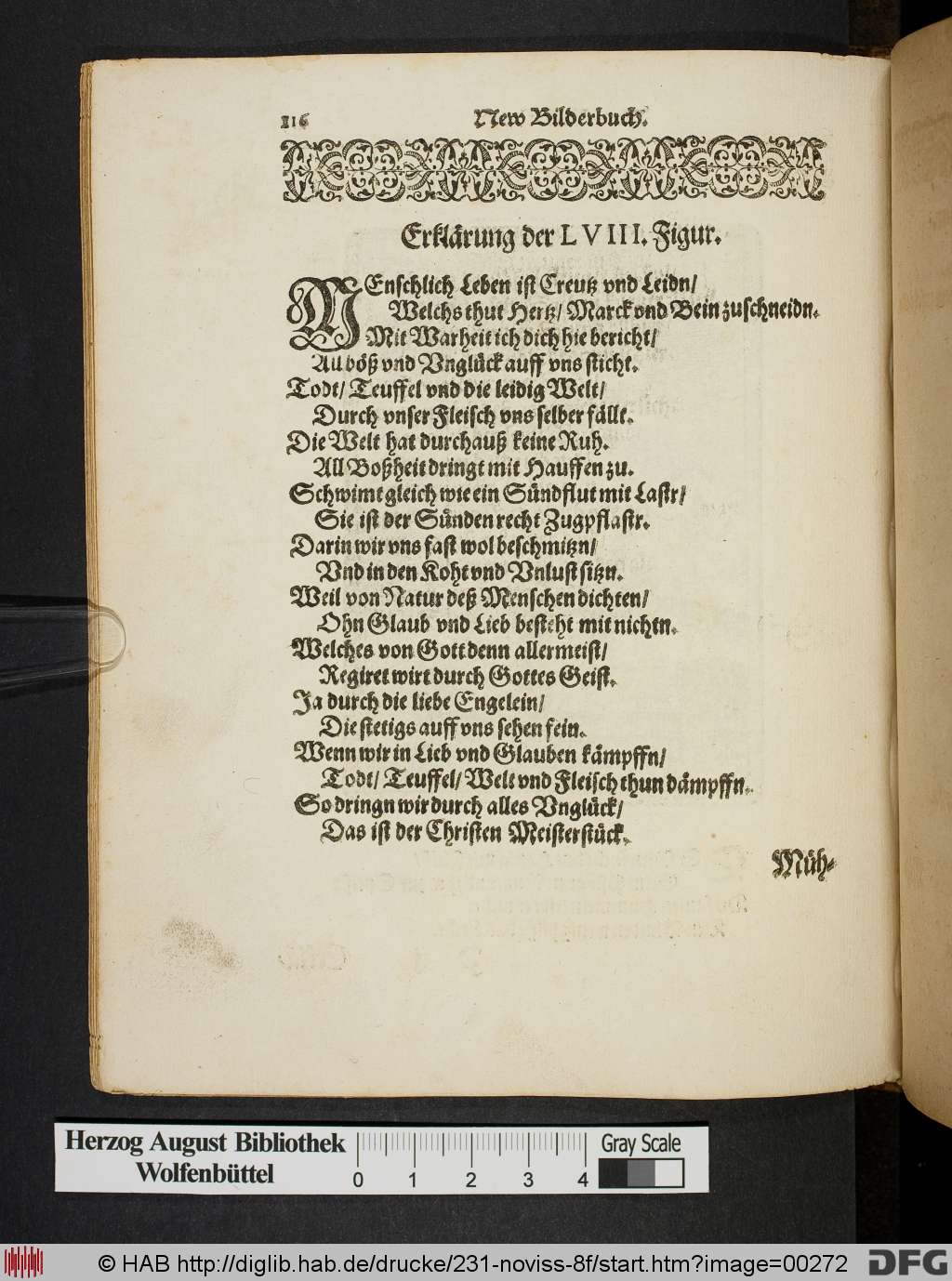 http://diglib.hab.de/drucke/231-noviss-8f/00272.jpg