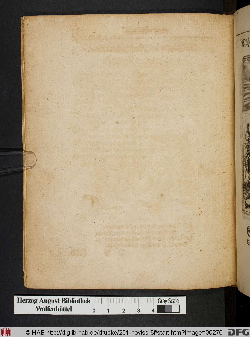 http://diglib.hab.de/drucke/231-noviss-8f/00276.jpg