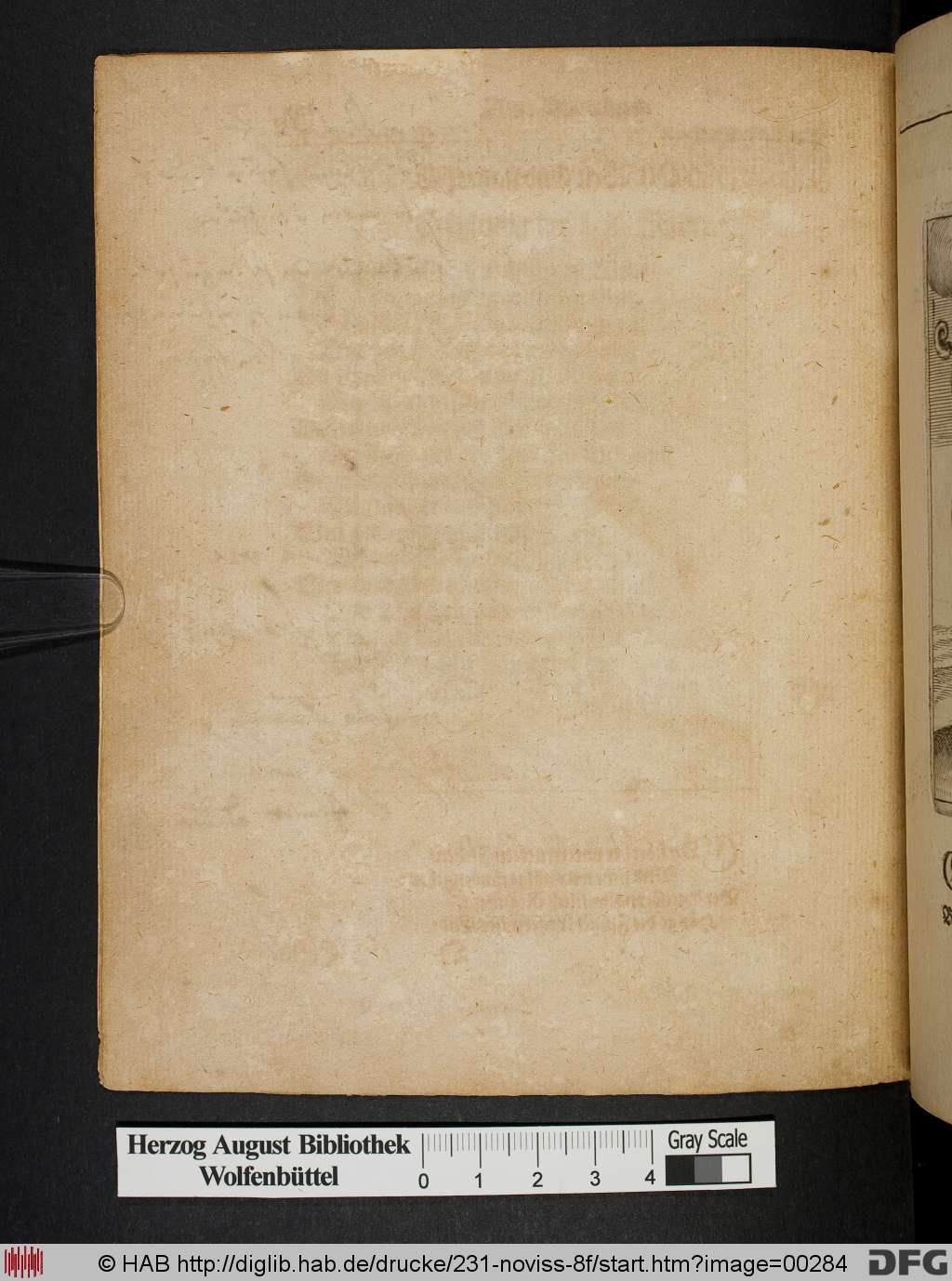 http://diglib.hab.de/drucke/231-noviss-8f/00284.jpg