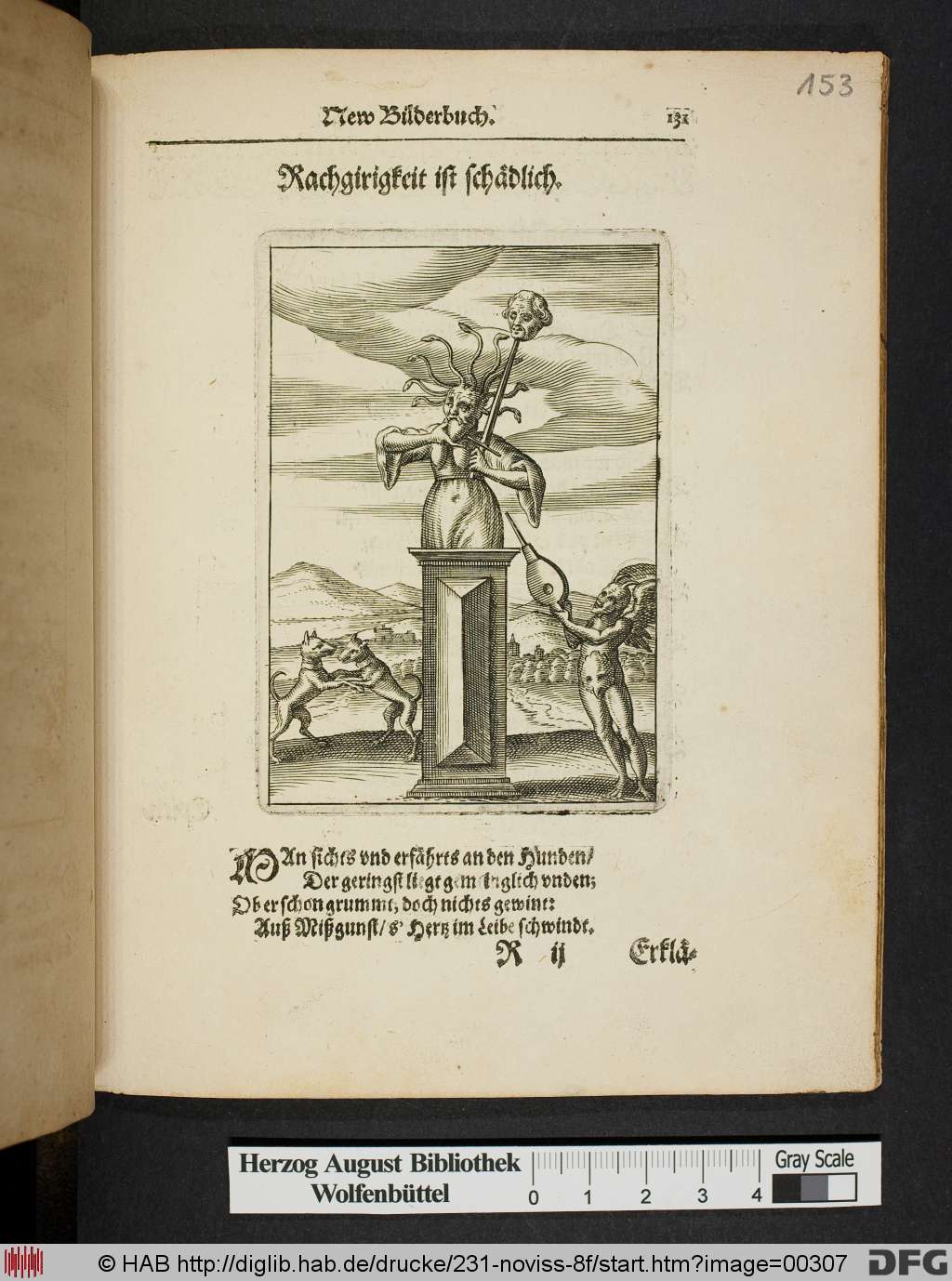 http://diglib.hab.de/drucke/231-noviss-8f/00307.jpg