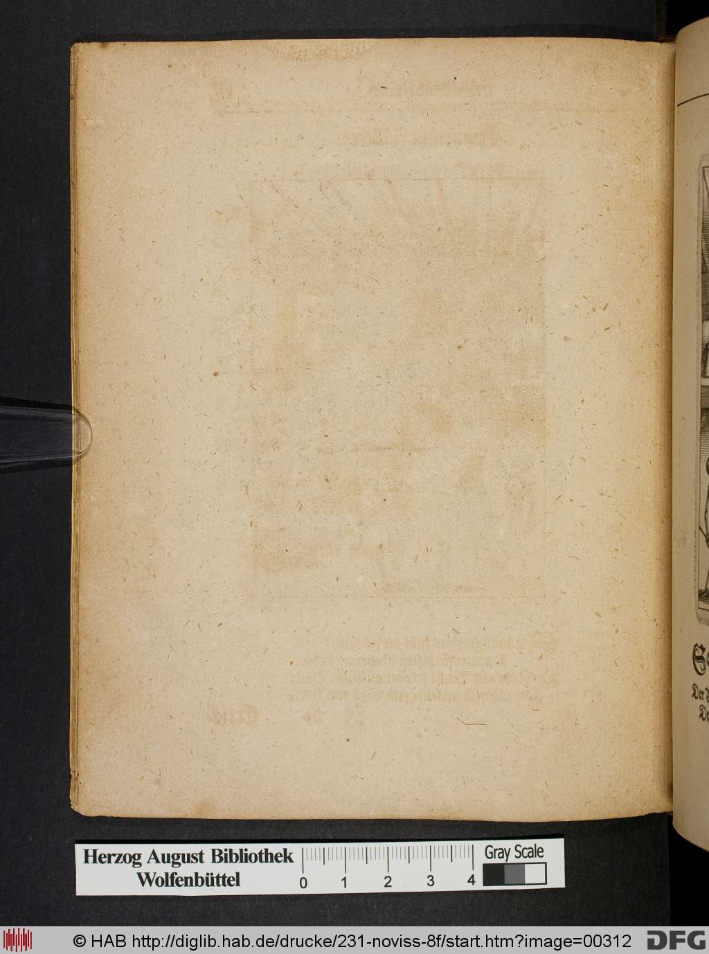 http://diglib.hab.de/drucke/231-noviss-8f/00312.jpg