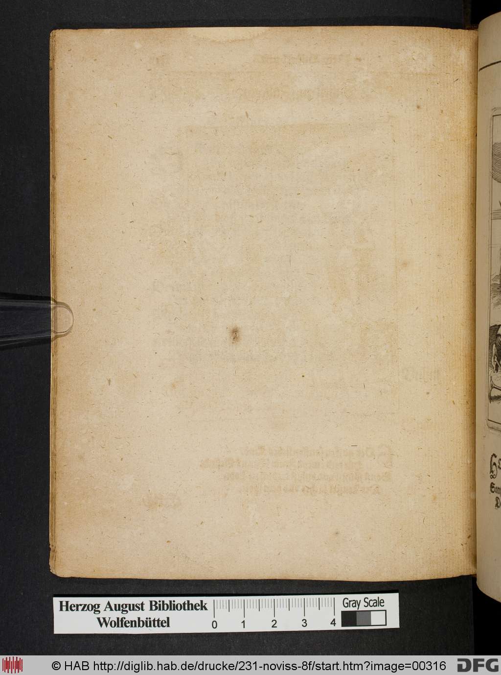 http://diglib.hab.de/drucke/231-noviss-8f/00316.jpg