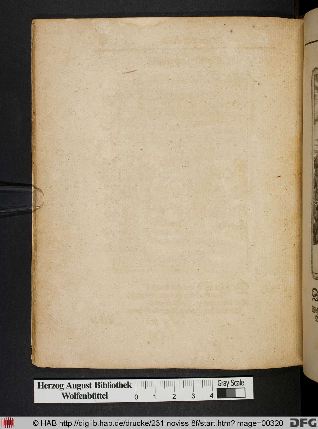 http://diglib.hab.de/drucke/231-noviss-8f/00320.jpg