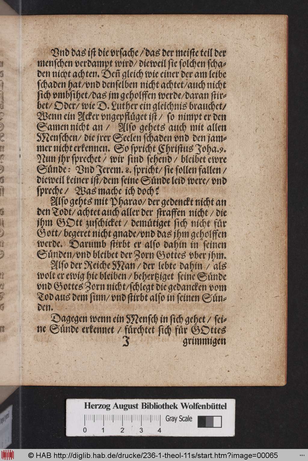 http://diglib.hab.de/drucke/236-1-theol-11s/00065.jpg