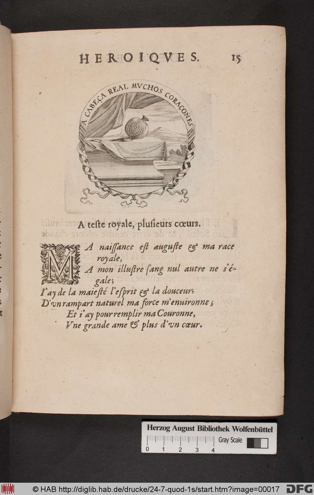 http://diglib.hab.de/drucke/24-7-quod-1s/00017.jpg