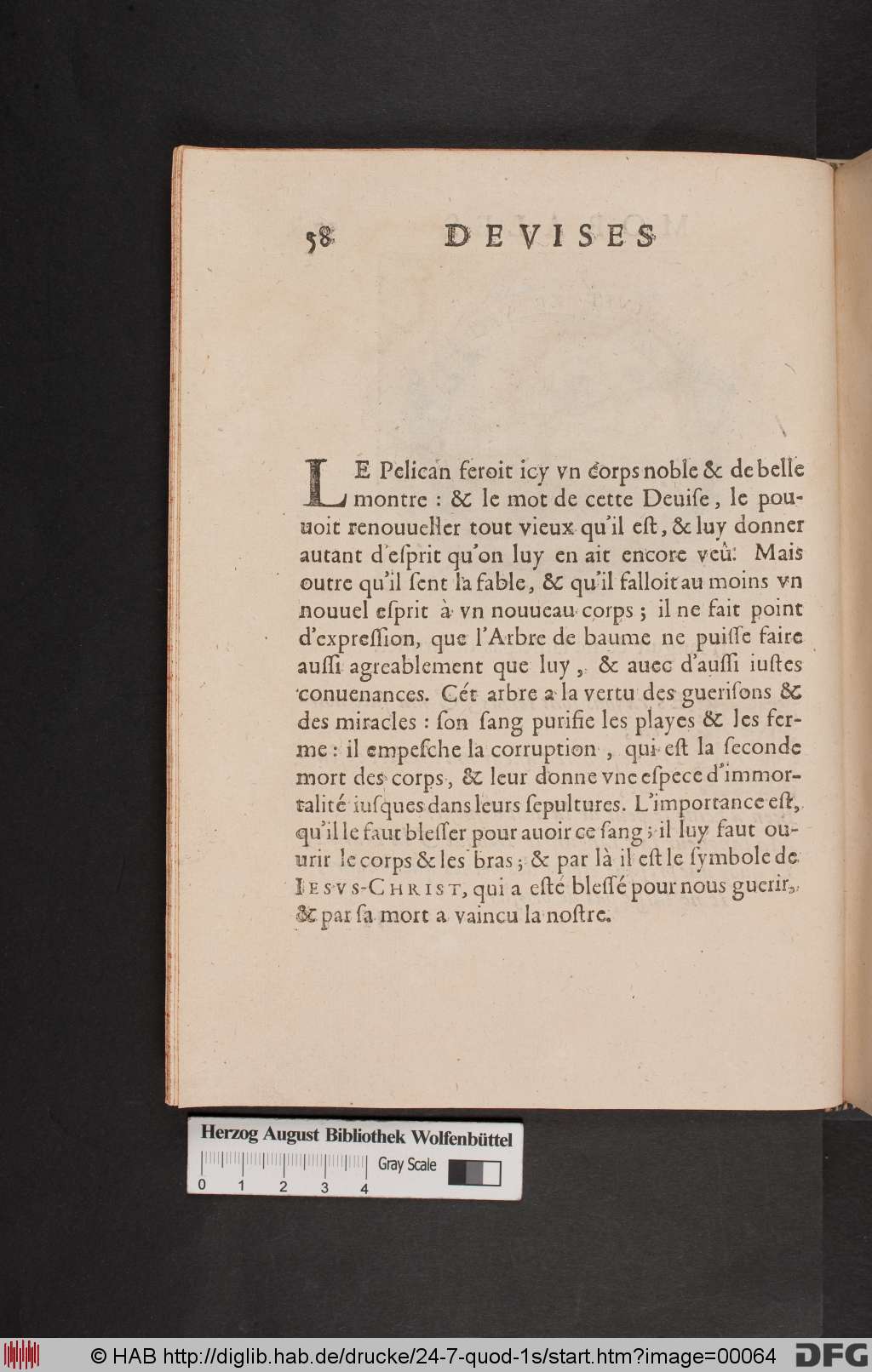 http://diglib.hab.de/drucke/24-7-quod-1s/00064.jpg