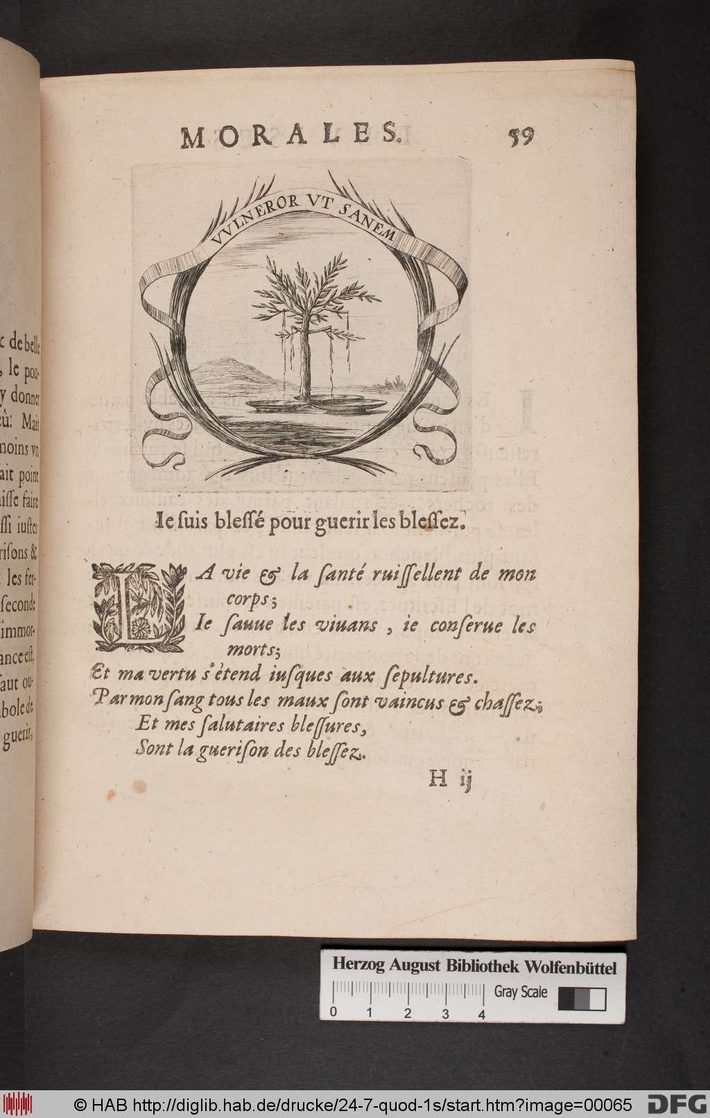 http://diglib.hab.de/drucke/24-7-quod-1s/00065.jpg