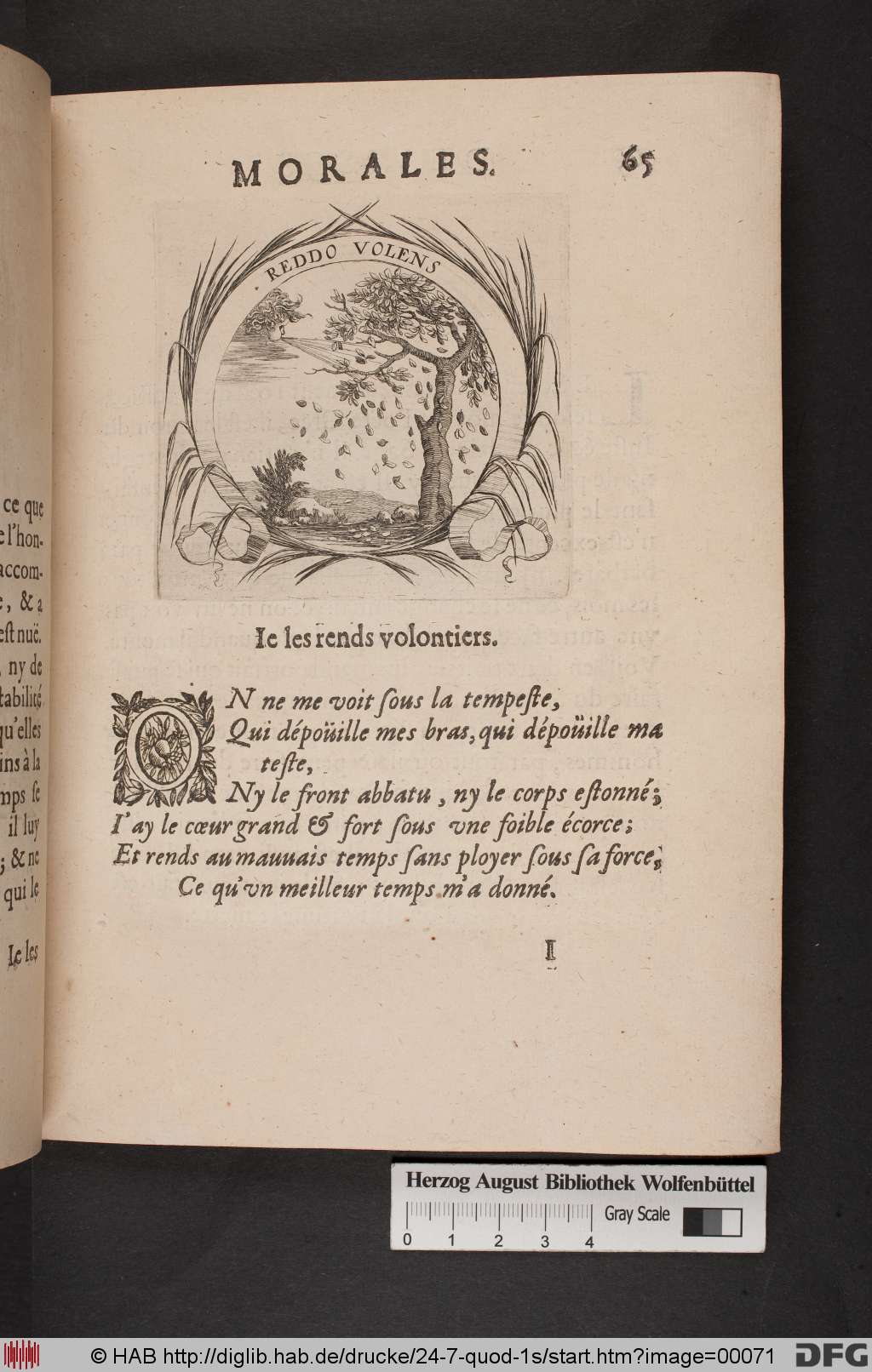 http://diglib.hab.de/drucke/24-7-quod-1s/00071.jpg