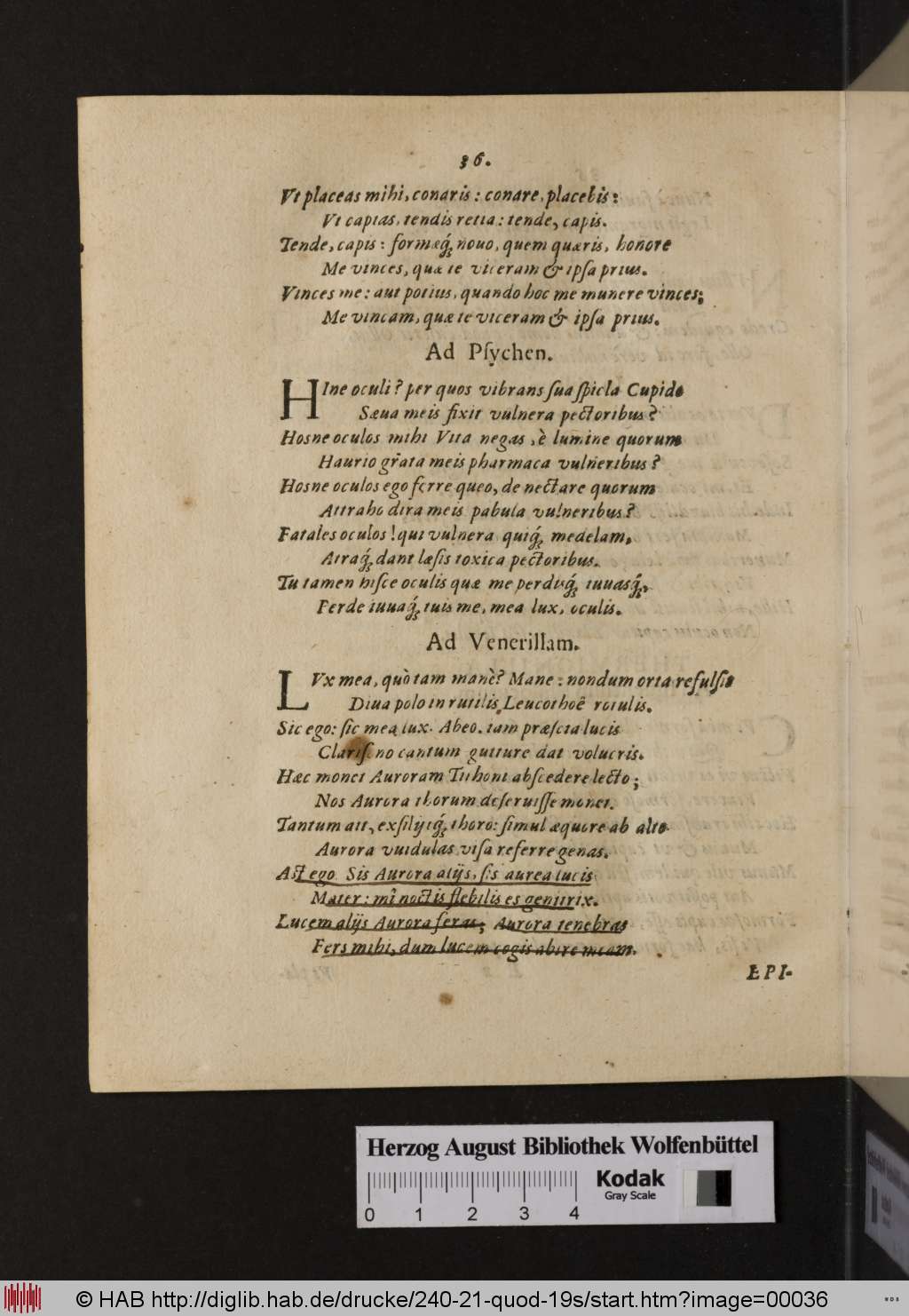http://diglib.hab.de/drucke/240-21-quod-19s/00036.jpg