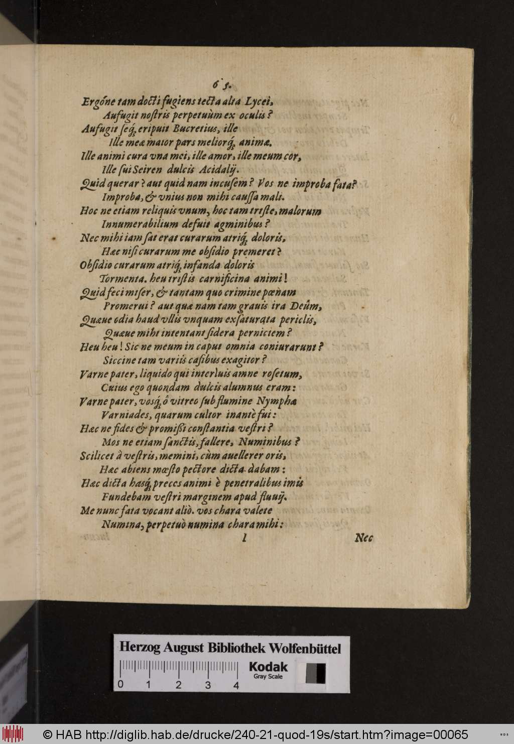 http://diglib.hab.de/drucke/240-21-quod-19s/00065.jpg