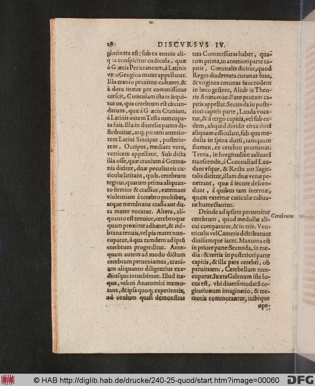 http://diglib.hab.de/drucke/240-25-quod/00060.jpg