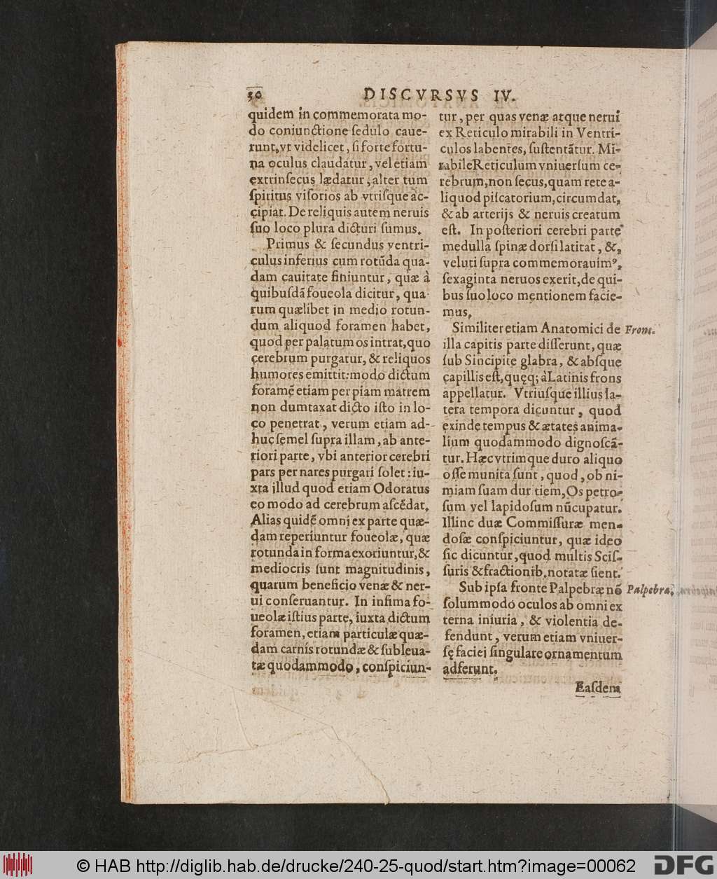 http://diglib.hab.de/drucke/240-25-quod/00062.jpg