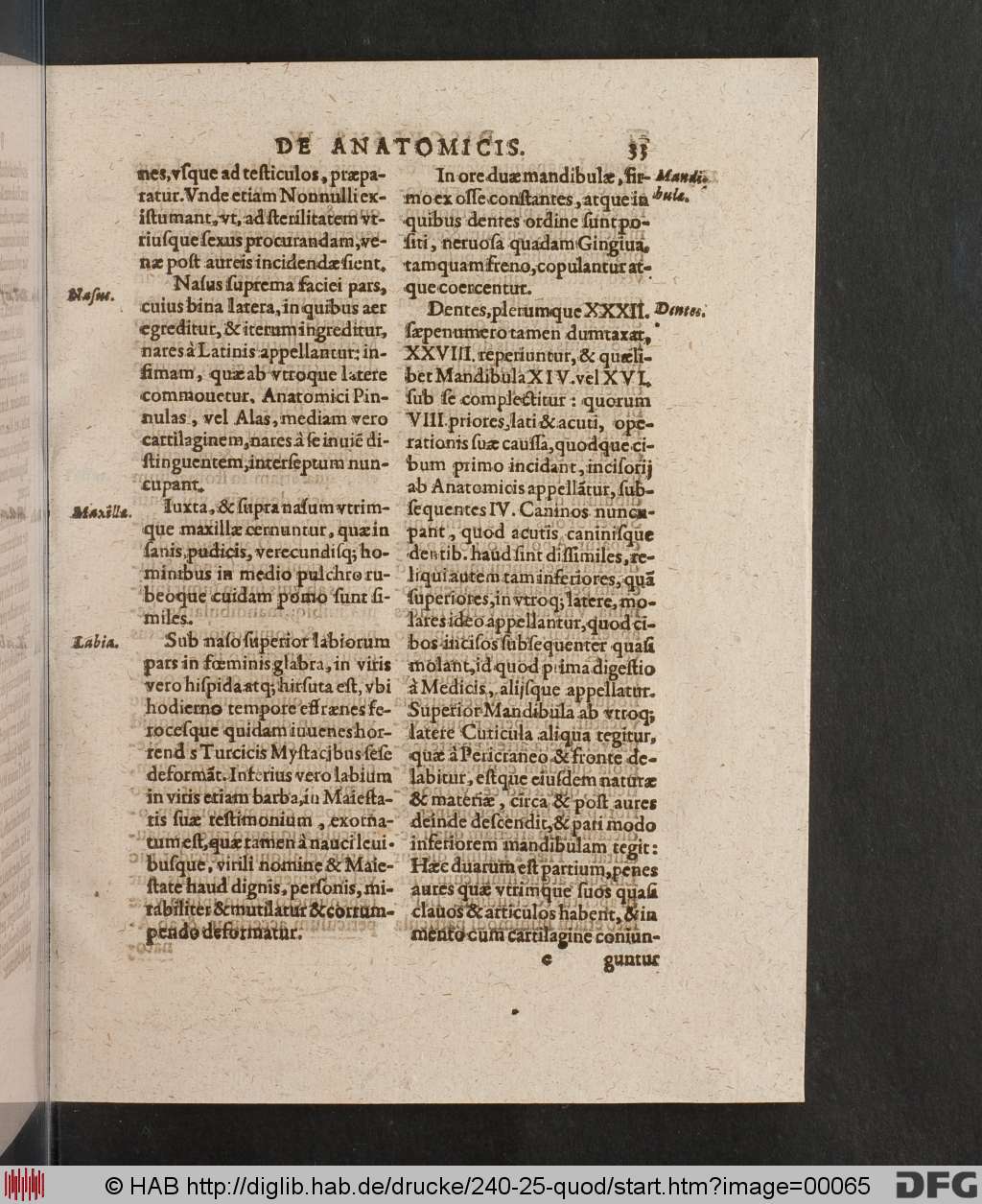 http://diglib.hab.de/drucke/240-25-quod/00065.jpg