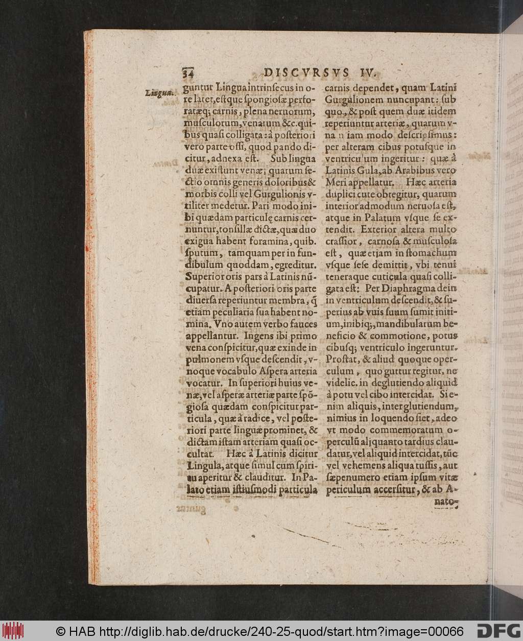 http://diglib.hab.de/drucke/240-25-quod/00066.jpg