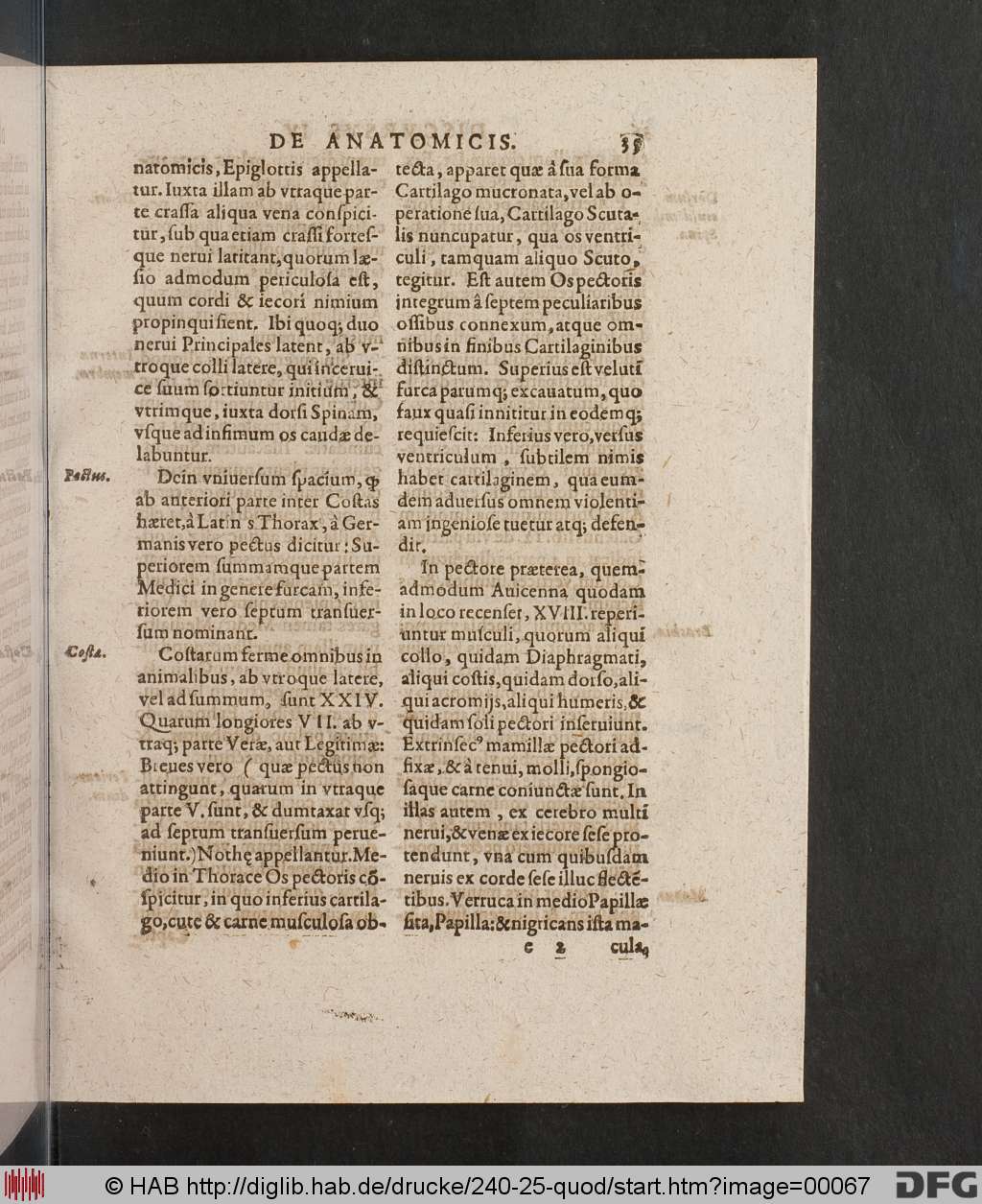 http://diglib.hab.de/drucke/240-25-quod/00067.jpg