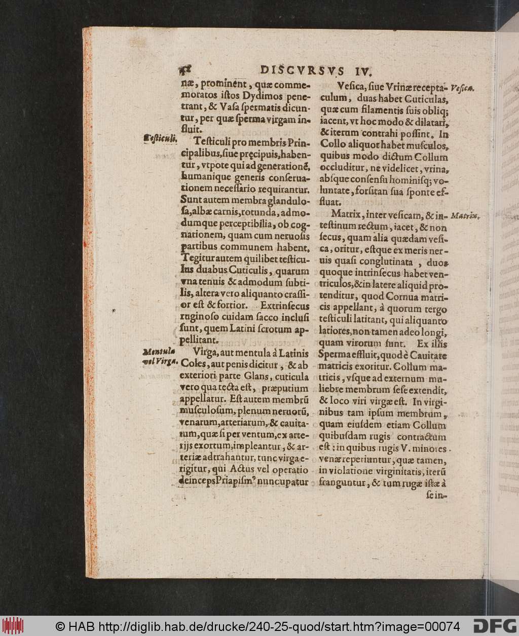 http://diglib.hab.de/drucke/240-25-quod/00074.jpg