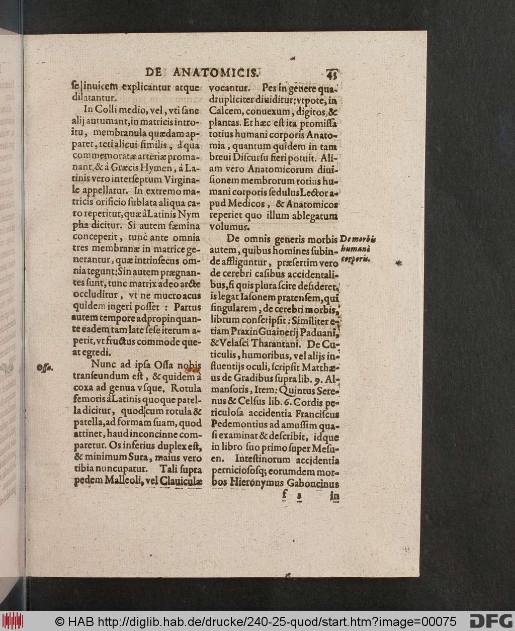 http://diglib.hab.de/drucke/240-25-quod/00075.jpg