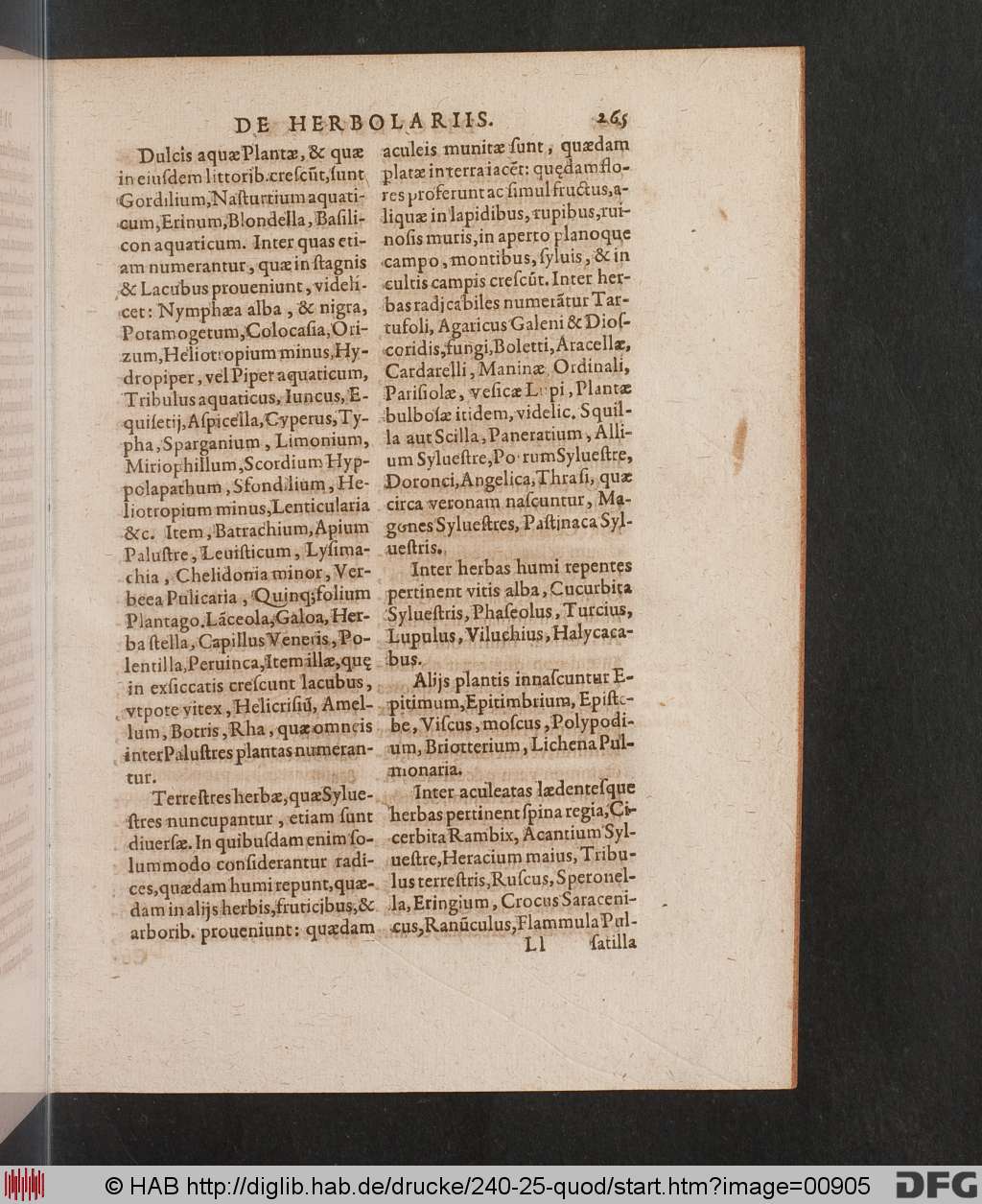 http://diglib.hab.de/drucke/240-25-quod/00905.jpg