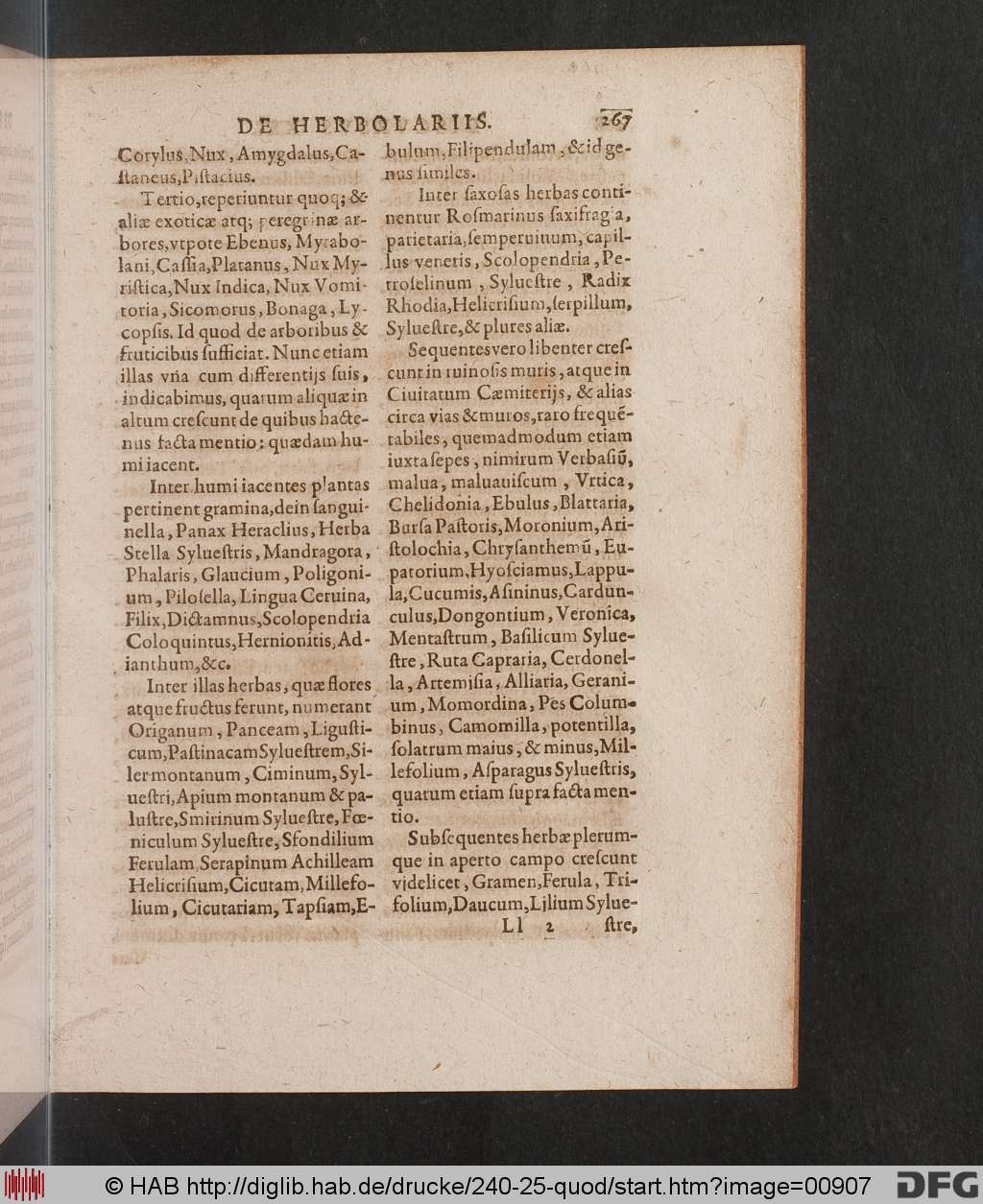 http://diglib.hab.de/drucke/240-25-quod/00907.jpg